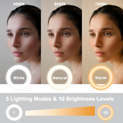 Ring Light Clip on Laptop Monitor, Webcam Light 10 Brightness Level Video Conference Lighting for Remote Working/Zoom Calls/Self Broadcasting/Live Streaming/Video Recording/Tiktok